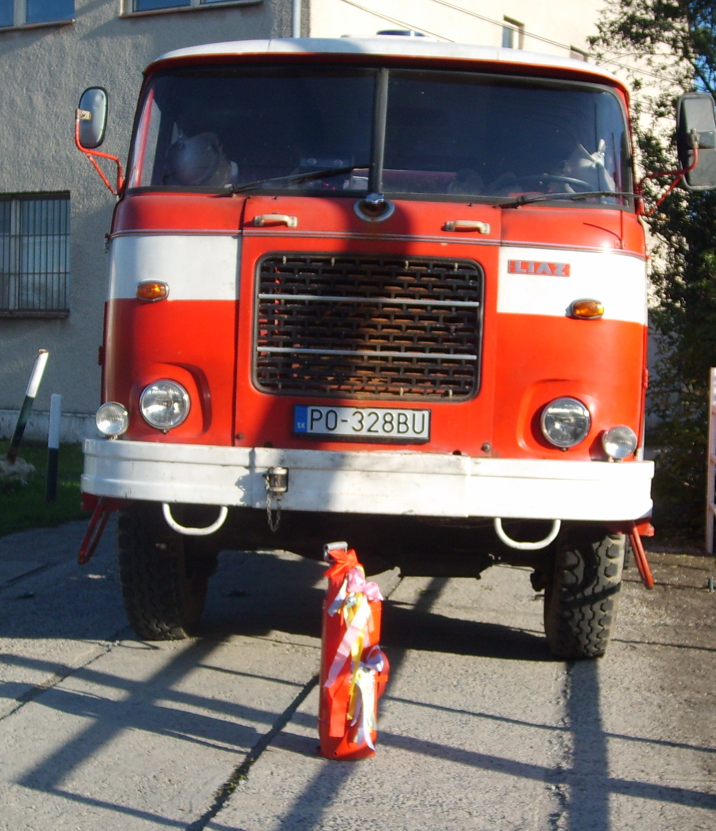 S5003787.jpg