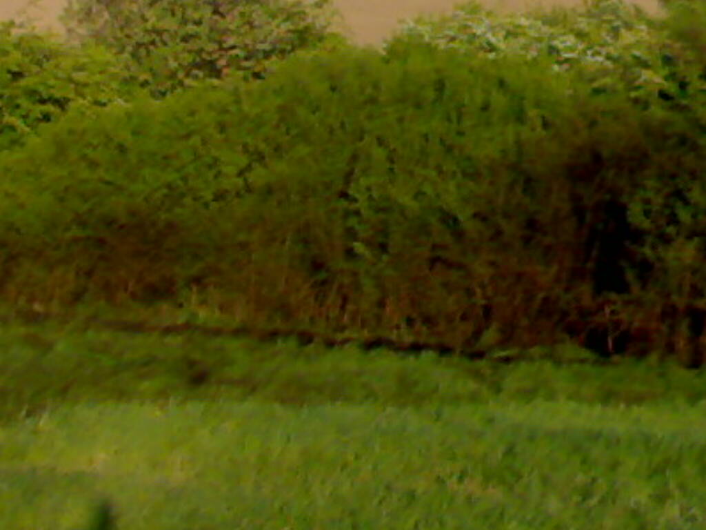 03052009908.jpg